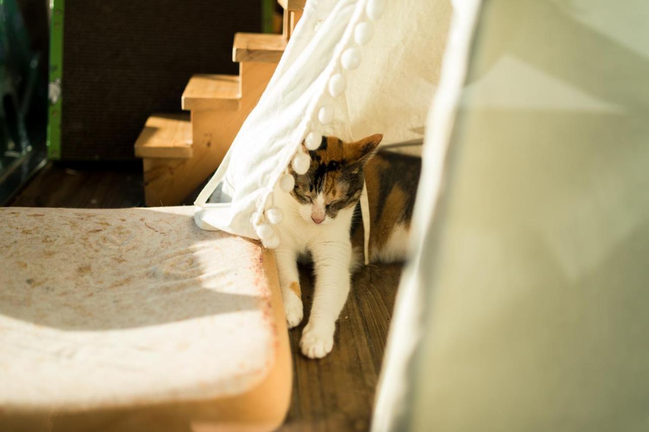 Hello Make Yourself At Home Kenting Zewnętrze zdjęcie